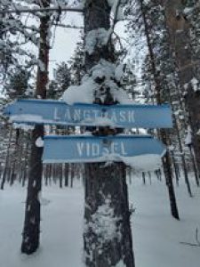 skoterled Vidsel Vidsel